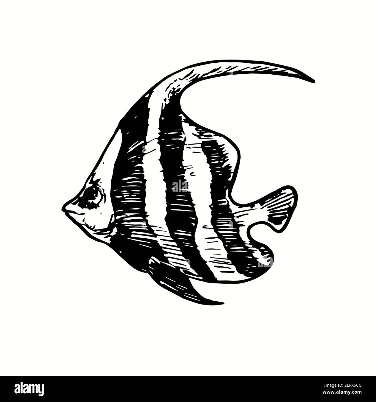 Der Schulbannerfisch, Heniochus diphrutes Seitenansicht. Tusche schwarz-weiß Doodle Zeichnung in Holzschnitt skizzieren Stil. Stockfoto