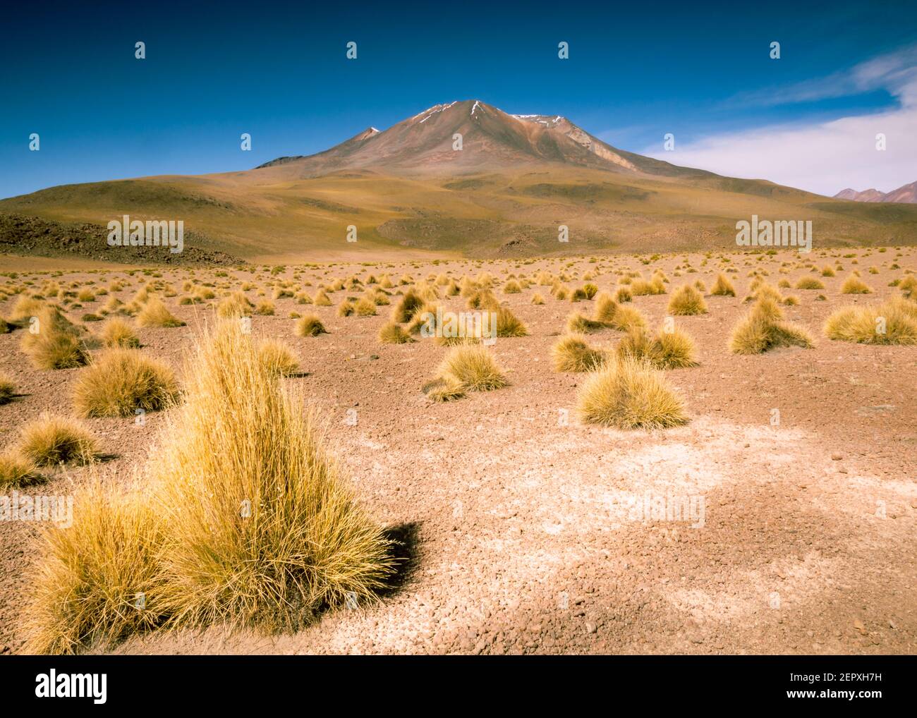 Bolivianische Hochlandschaft mit volcan-Bergen Stockfoto