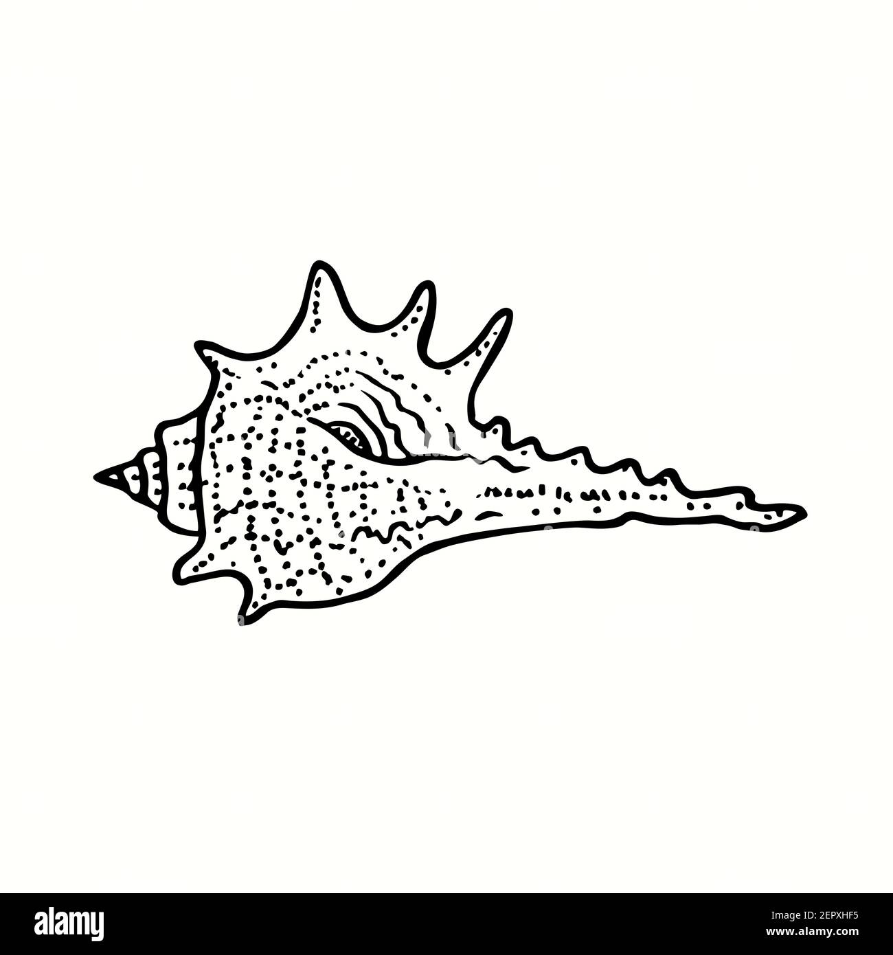 Blick auf die Seashell-Seite. Tusche schwarz-weiß Doodle Zeichnung in Holzschnitt skizzieren Stil. Stockfoto