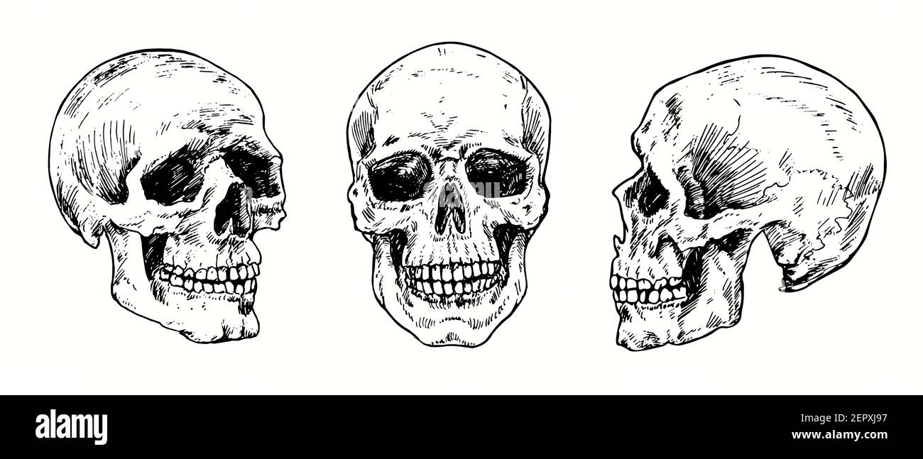 Skull Set Kollektion. Tinte schwarz-weiß Zeichnung. Stockfoto