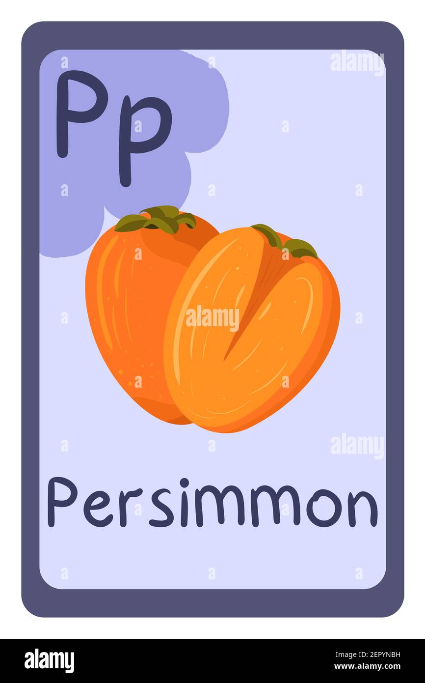 Bunte abc Bildung Flash-Karte, Buchstabe P - persimmon. Alphabet Vektor-Illustration mit Lebensmitteln, Obst und Gemüse. Schule, Studium, Lernkonzept. Stock Vektor