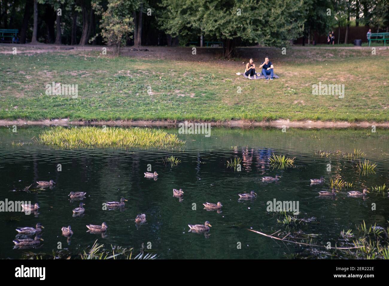 Lviv, Ukraine - 28. August 2020: Menschen, die in der Nähe von See in der Stadt öffentlichen Park ruhen Stockfoto