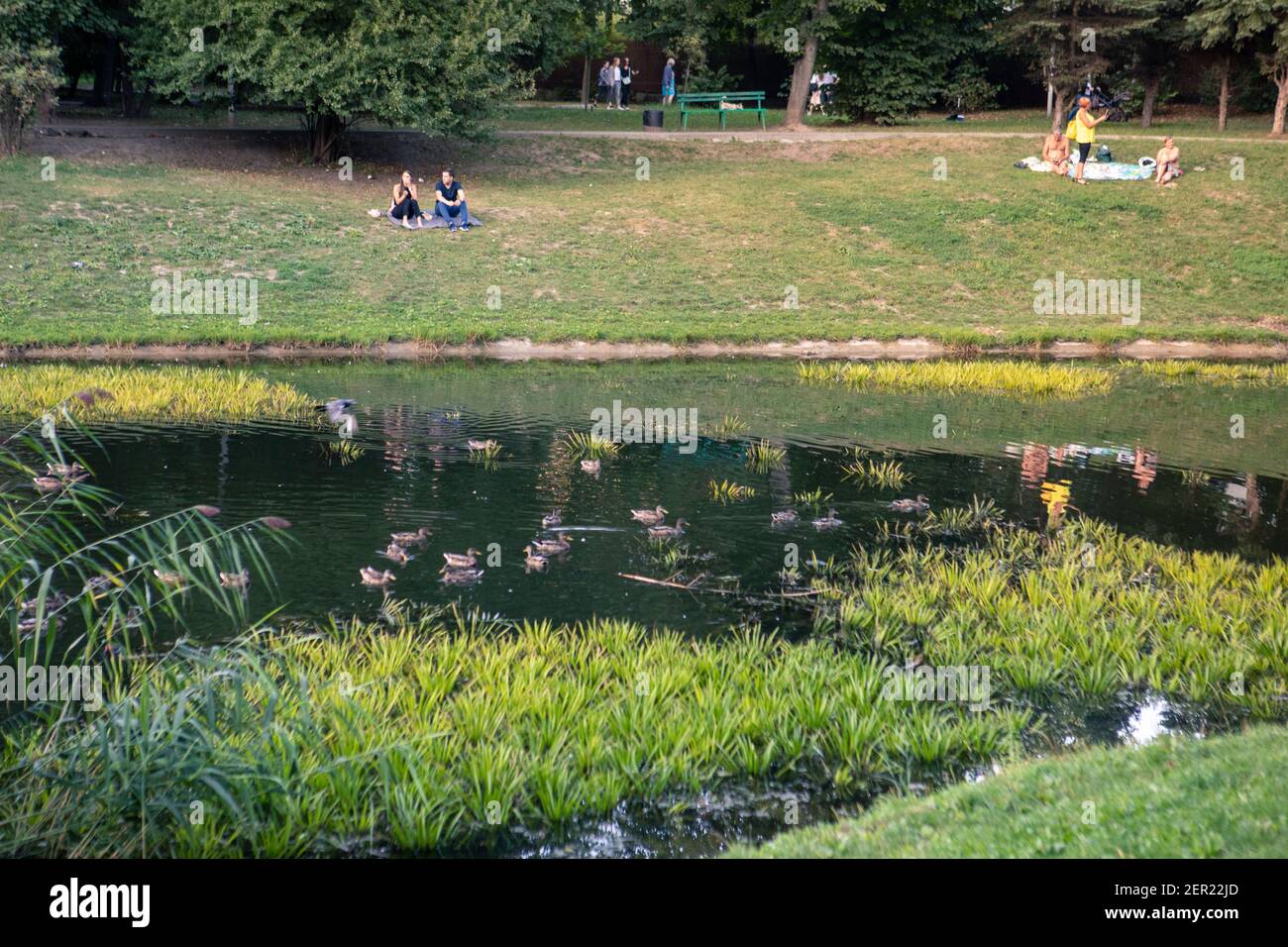 Lviv, Ukraine - 28. August 2020: Menschen, die in der Nähe von See in der Stadt öffentlichen Park ruhen Stockfoto