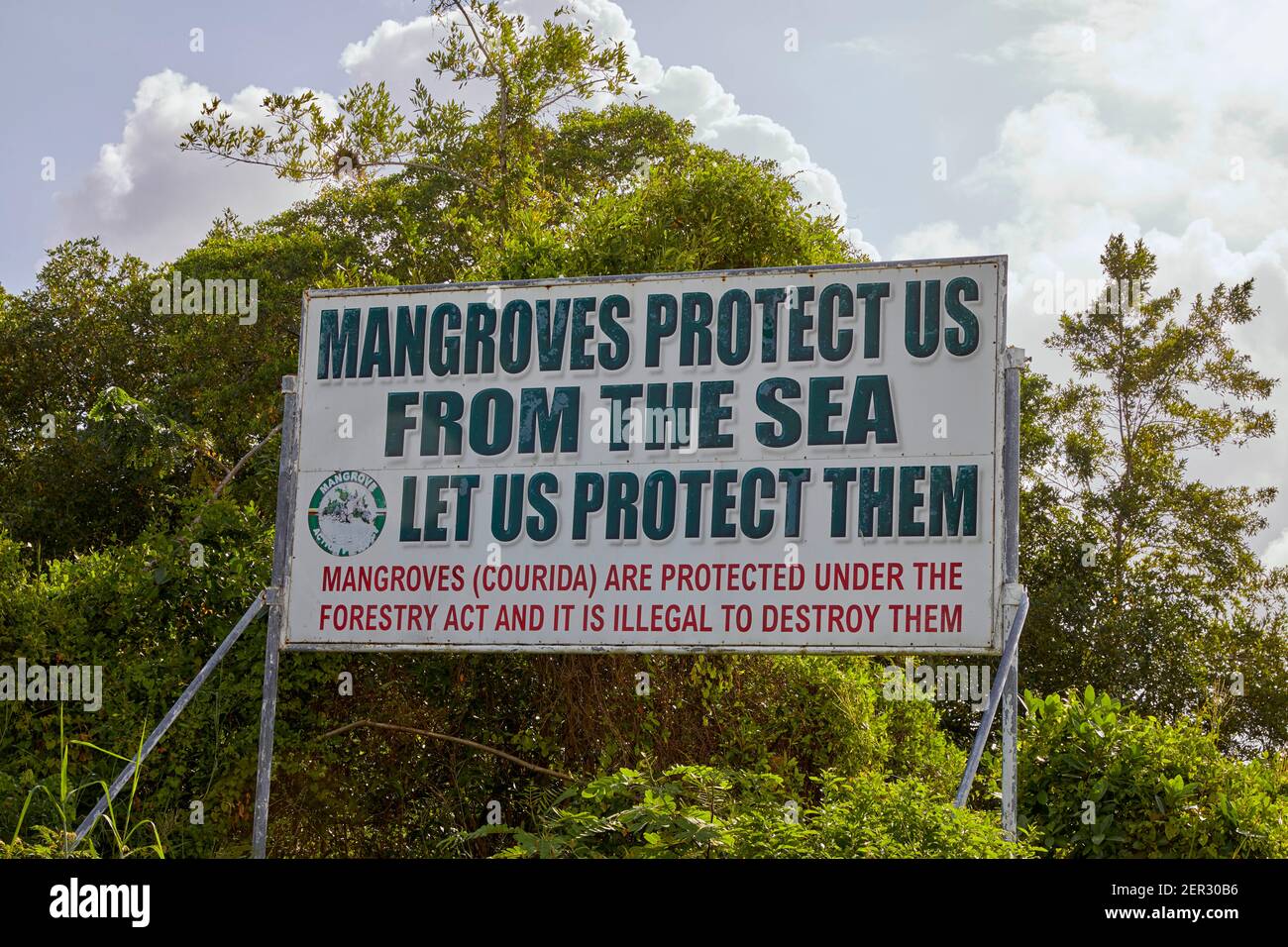 Mangroven schützen uns vor dem Meeresschild in Georgetown Guyana Südamerika Stockfoto