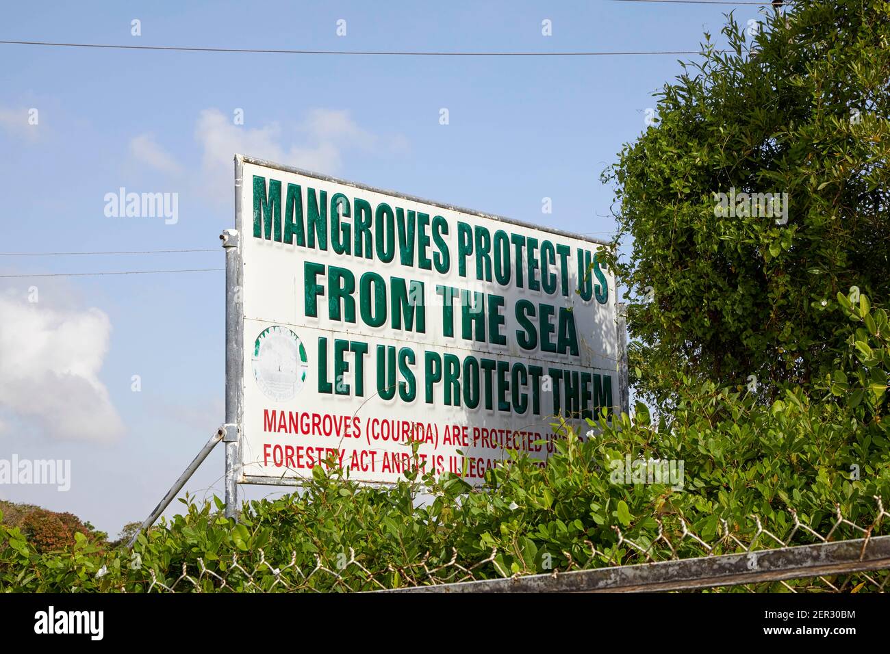 Mangroven schützen uns vor dem Meeresschild in Georgetown Guyana Südamerika Stockfoto