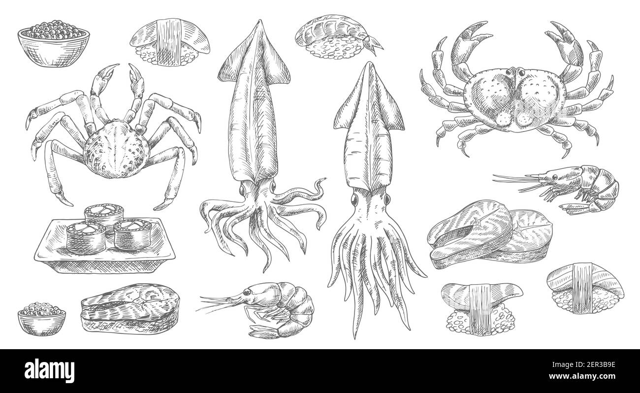 Meeresfrüchte, Skizzenfutter des Meeres, Fisch und Sushi, Vektor isoliert handgezeichnete Ikonen. Meeresfrüchte Auster, Muschel, Garnelen und Krabben mit Lachs Steaks, Sashimi und Stock Vektor