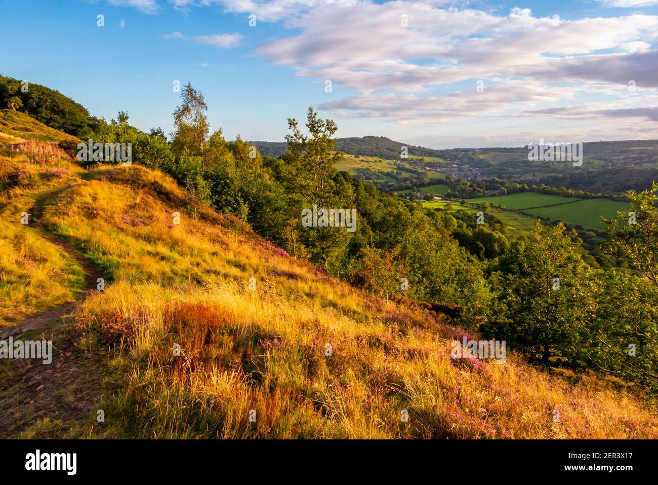 Blick über die Landschaft bei Starholmes bei Matlock im Derbyshire Dales Peak District England UK mit Bäumen in Spätsommerfarbe. Stockfoto