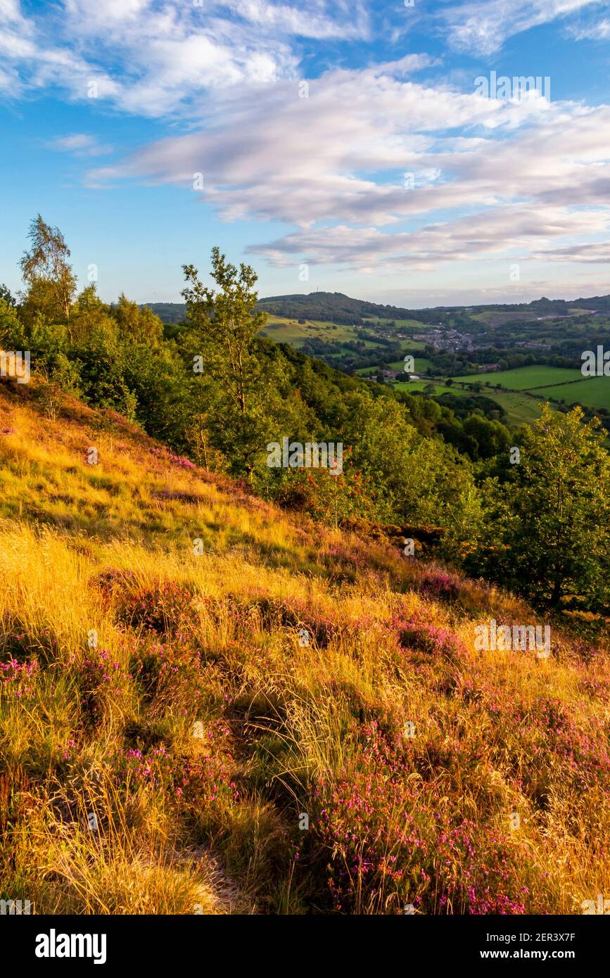 Blick über die Landschaft bei Starholmes bei Matlock im Derbyshire Dales Peak District England UK mit Bäumen in Spätsommerfarbe. Stockfoto
