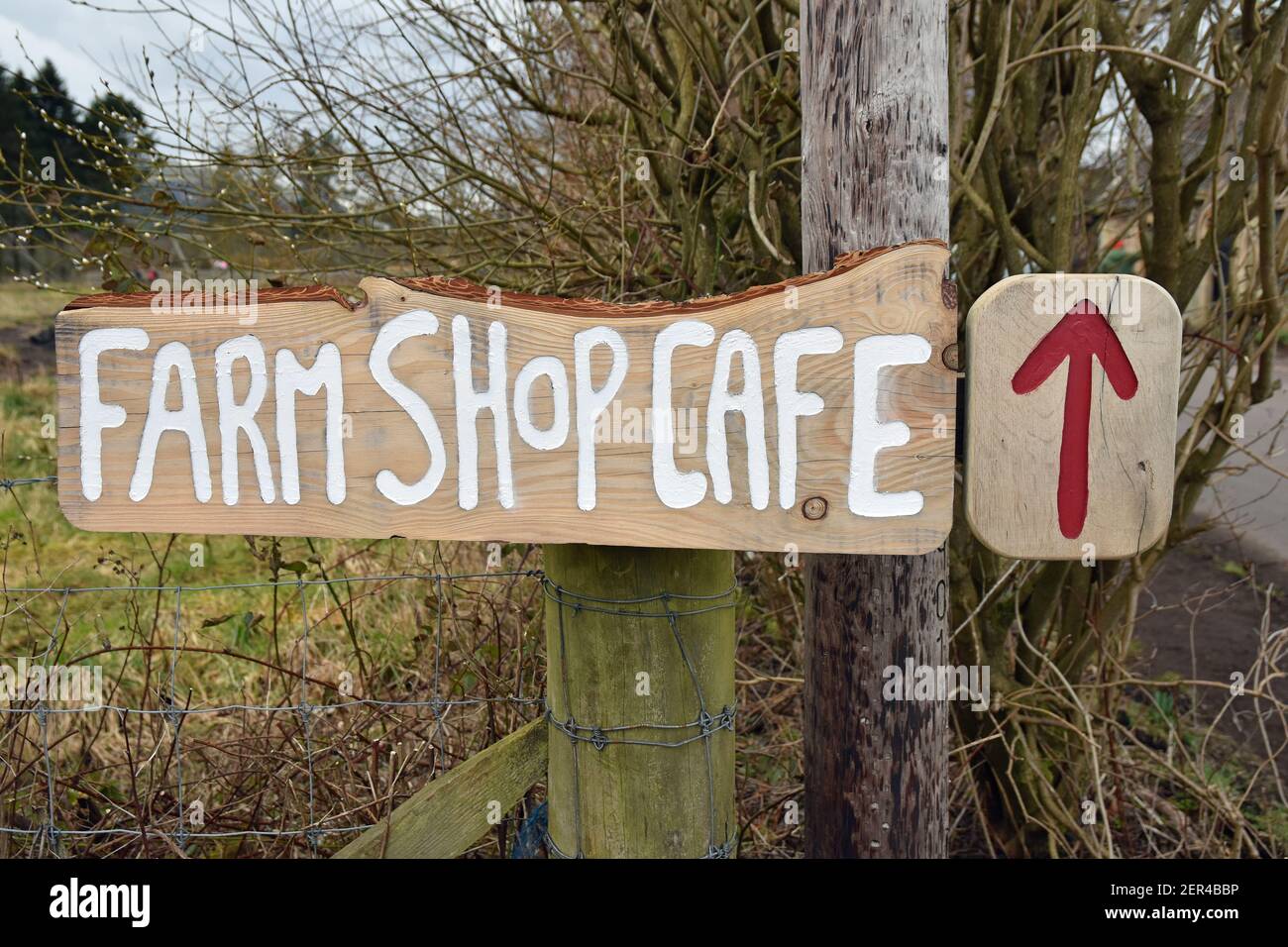 Rustikales Farm Shop Cafe Schild mit Pfeil. Pillars of Hercules, Falkland, Fife, Schottland, Großbritannien. Stockfoto