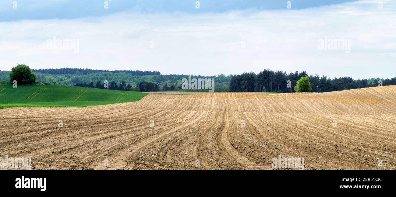 Gepflügte Feld im Frühjahr in hügeligem Gelände mit Wald im Hintergrund. Blauer Himmel und weiße Wolken oben. Landwirtschaft. Stockfoto