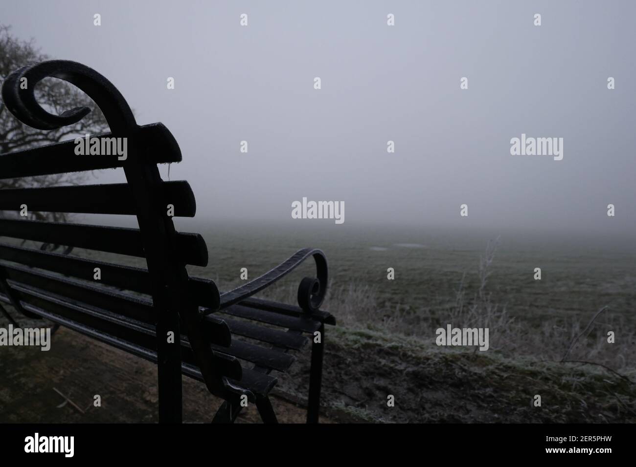 Leere Parkbank mit Blick auf Misty Foggy Feld an einem bewölkten wolkig grauen Tag, kalt, nicht einladend, unerfahren und kühl Stockfoto