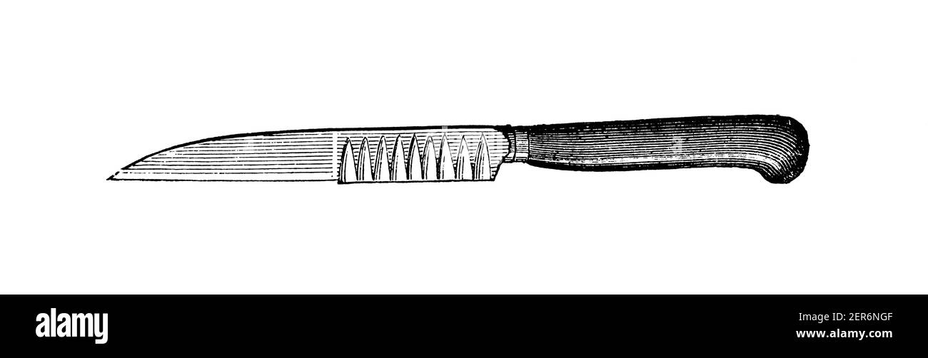 Antike Illustration eines Küchenmessers. Veröffentlicht in Le livre de cuisine, par Jules Goufe, Librarie Hachette et Cie (Paris, 1874). Stockfoto
