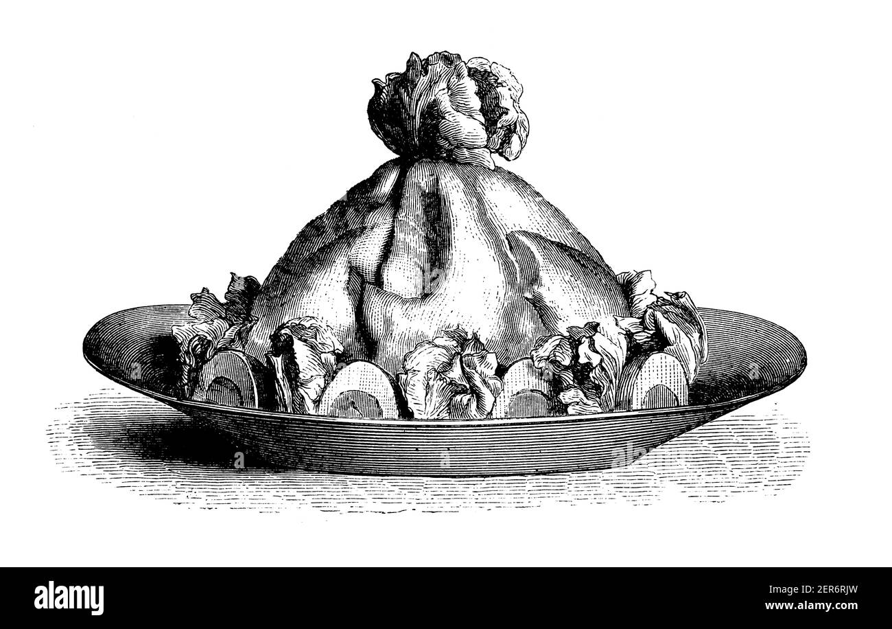 Antike Illustration der Mayonnaise. Veröffentlicht in Le livre de cuisine, par Jules Goufe, Librarie Hachette et Cie (Paris, 1874). Stockfoto
