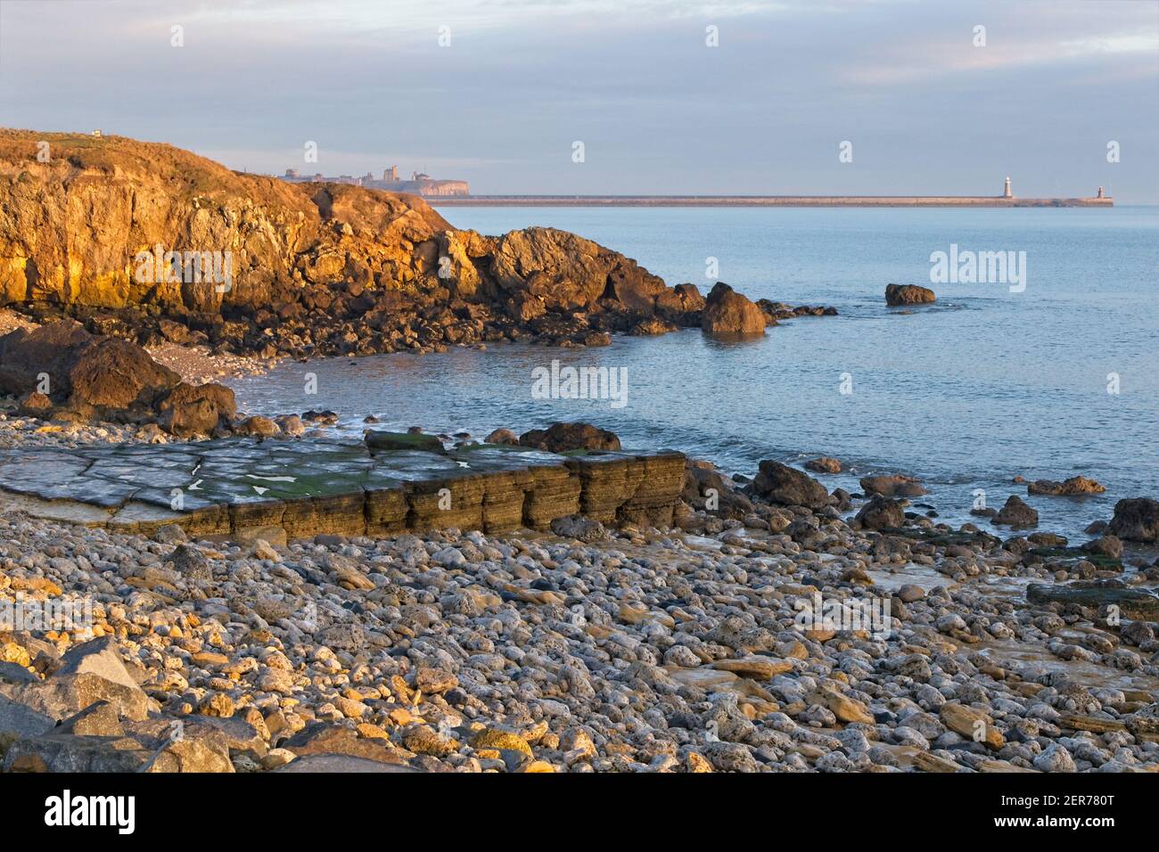 Golden am frühen Morgen Sonnenlicht beleuchtet die Klippen und Kalksteinfelsen bei Trow Rocks an der Nordseeküste bei South Shields in Tyne and Wear. Stockfoto