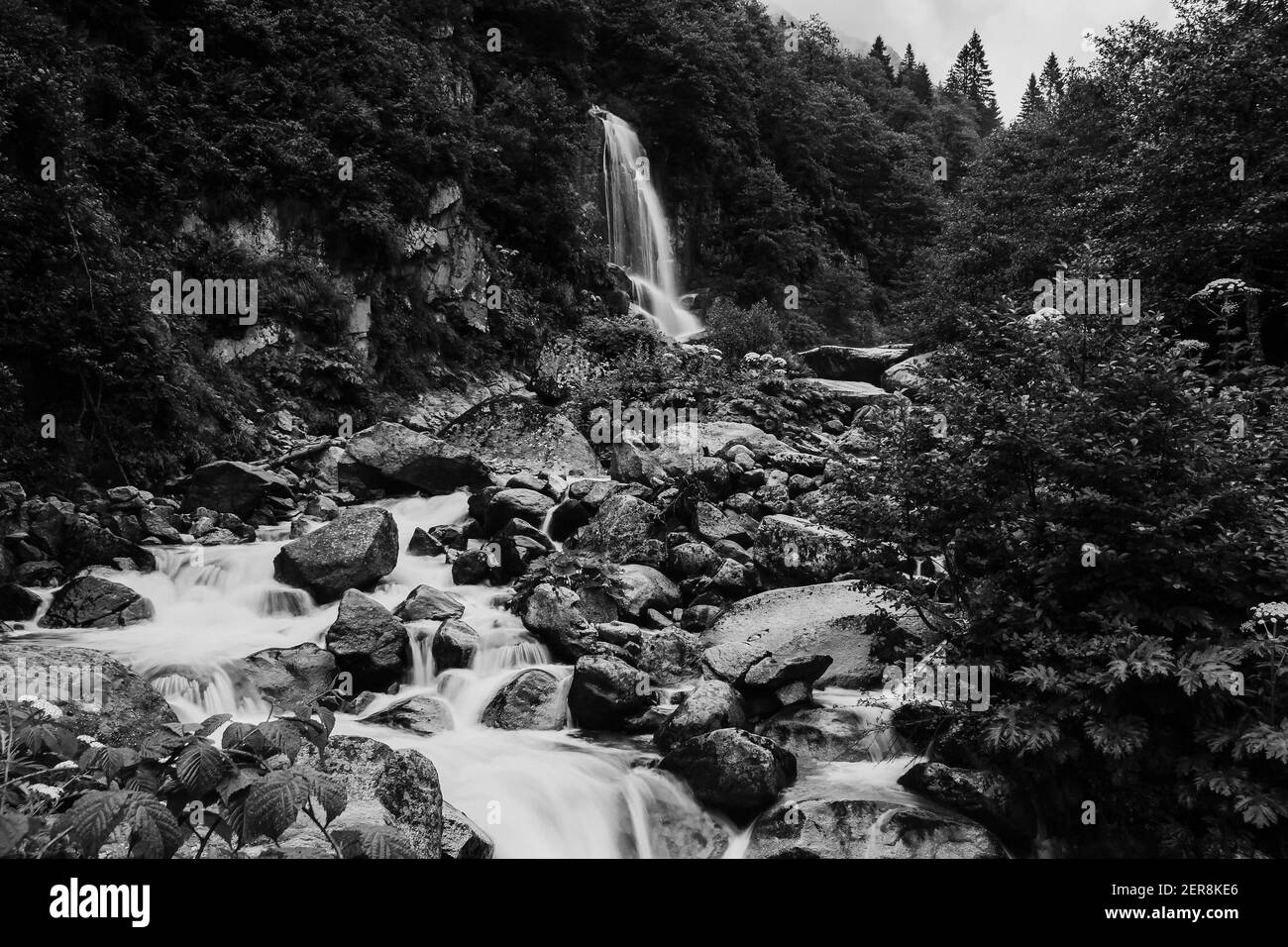 Bach und Wasserfall fließen in einem Stony Creek auf dem Plateau in Karadeniz Stockfoto