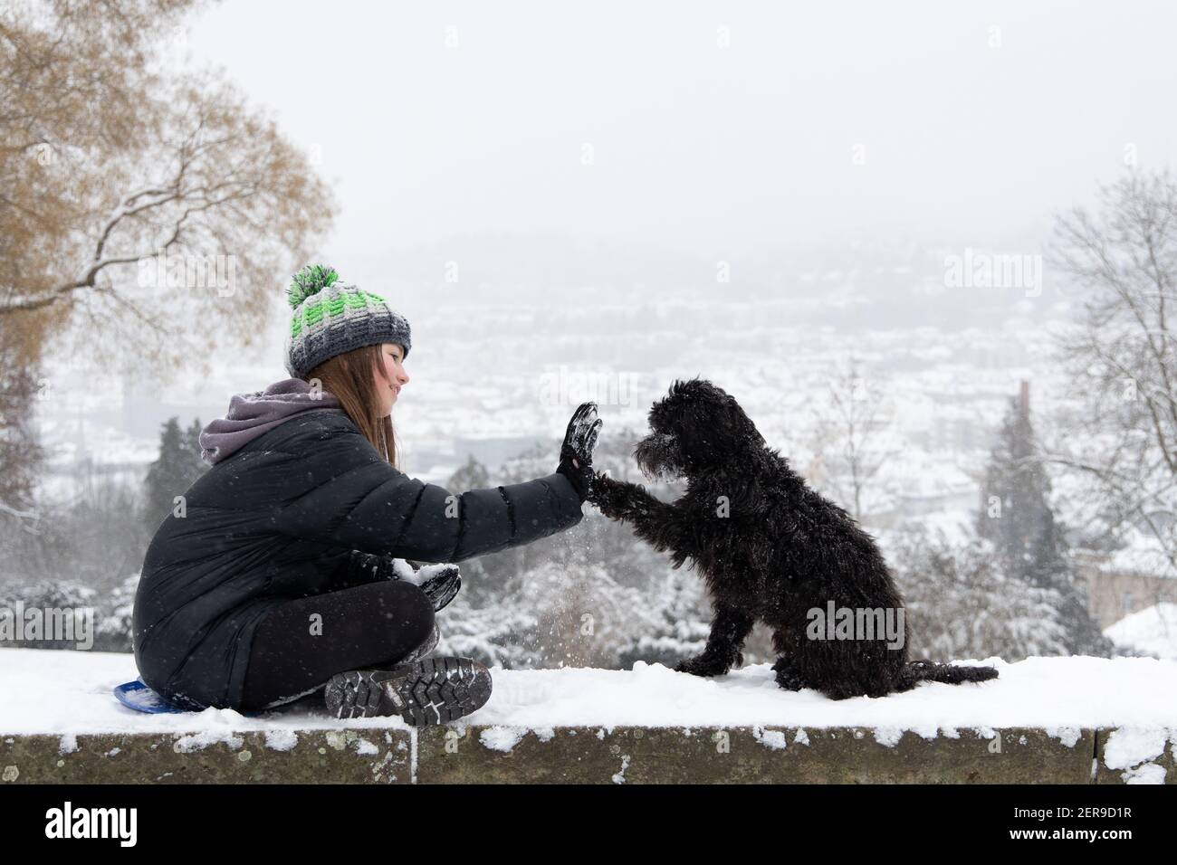 Stuttgart, Deutschland, 2021-02-10, ein schwarzer Labradoodle Hund und sein Besitzer sitzen an einer Wand, genießen Sie den frischen Schnee, geben hohe fünf Stockfoto