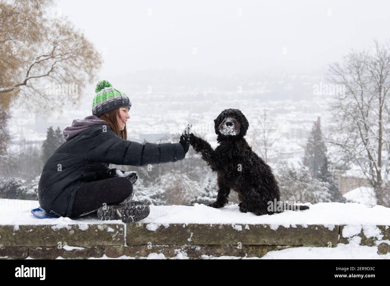 Stuttgart, Deutschland, 2021-02-10, ein schwarzer Labradoodle Hund und sein Besitzer sitzen an einer Wand, genießen Sie den frischen Schnee, geben hohe fünf Stockfoto