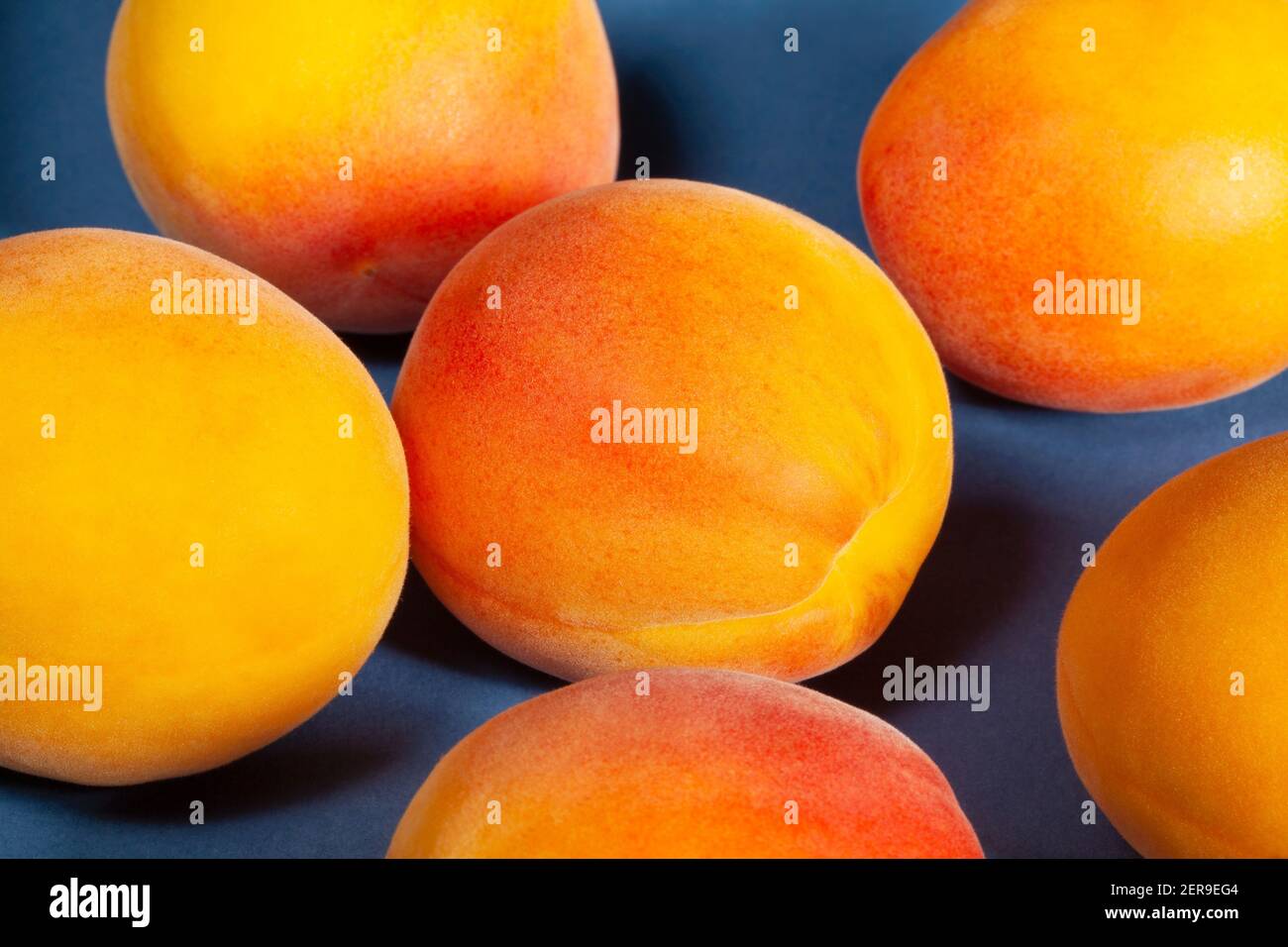 Aprikosengruppe auf blauem Hintergrund Stockfoto