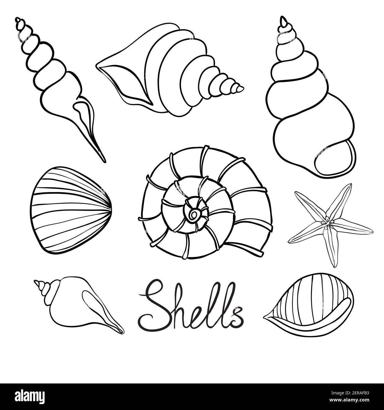 Handgezeichnete Vektor-Illustrationen - Sammlung von Muscheln. Marine-Set. Stock Vektor