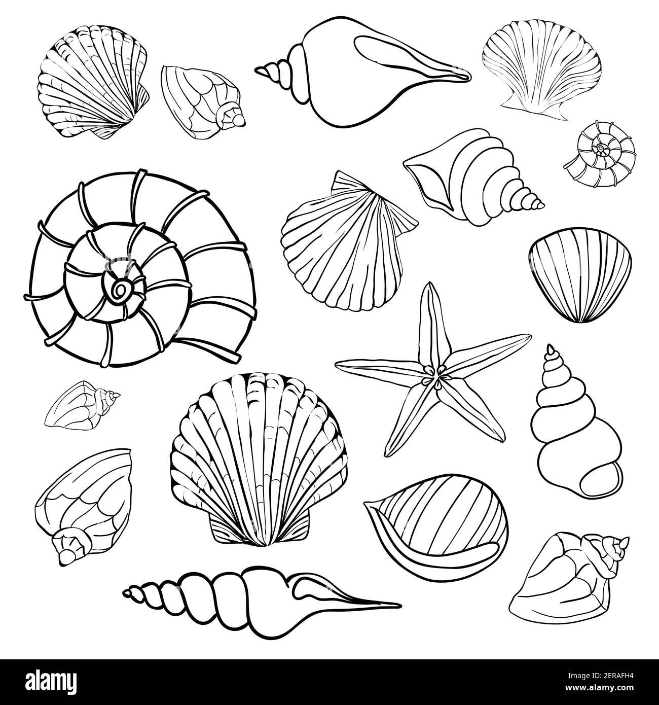 Handgezeichnete Vektor-Illustrationen - Sammlung von Muscheln. Marine-Set. Stock Vektor