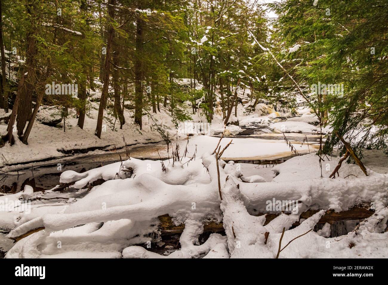Muskoka Falls und Bracebrige Conservation Area Algonquin Highlands Bracebridge Ontario Kanada im Winter Stockfoto