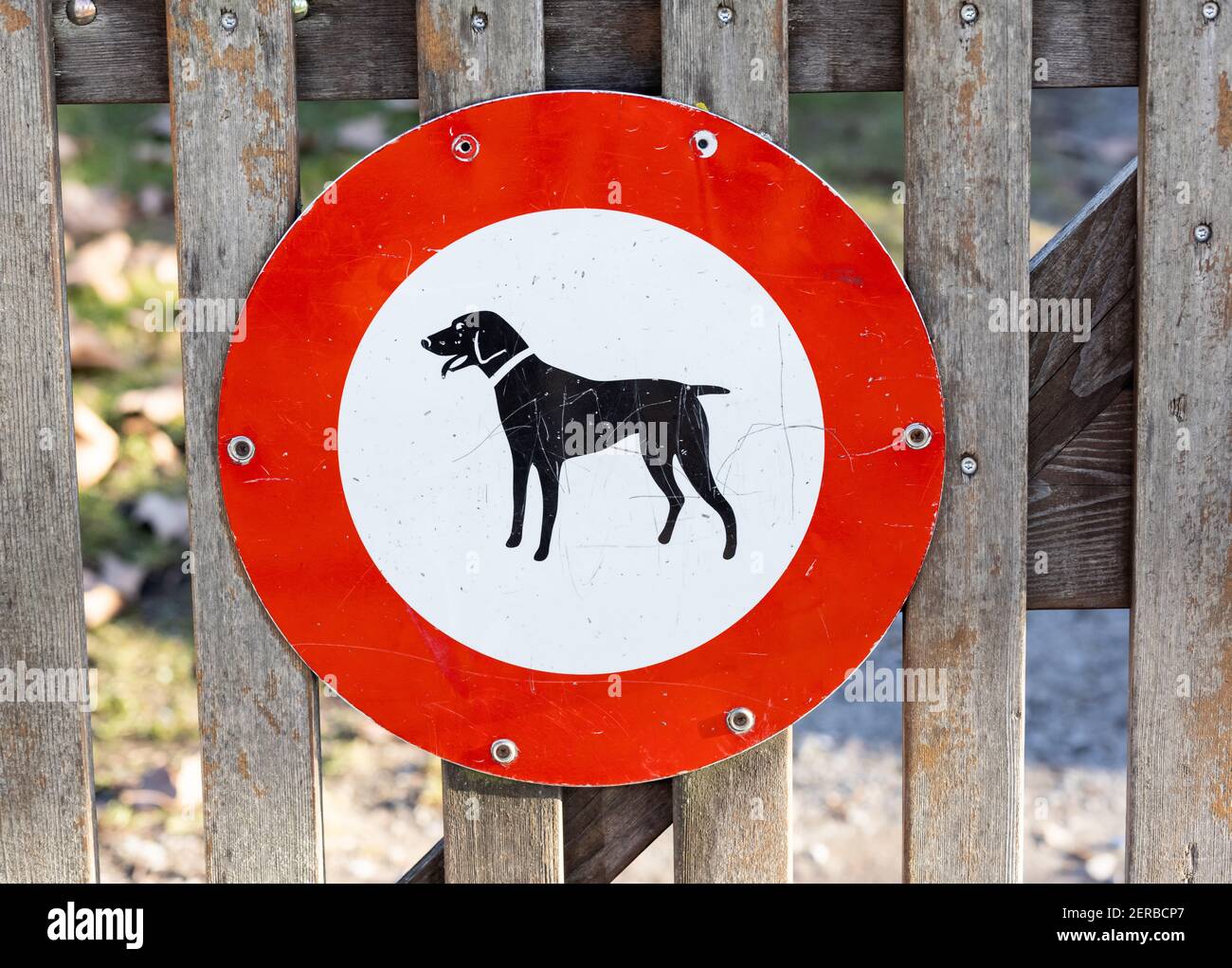 Rot weiß kein Hunde-Schild, auf einem hellbraunen Pfostenzaun, kein Zugang für Hunde Stockfoto
