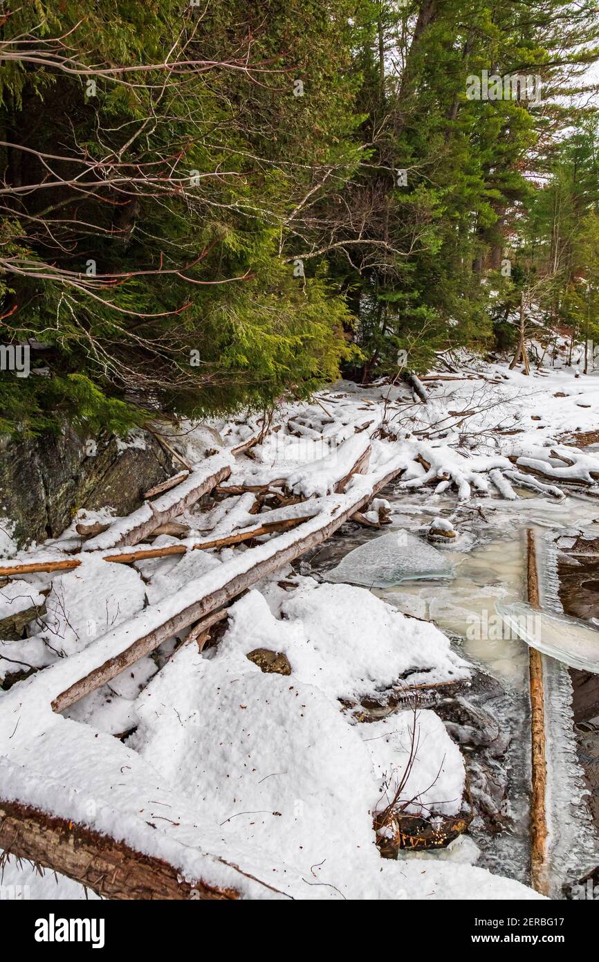 Muskoka Falls und Bracebrige Conservation Area Algonquin Highlands Bracebridge Ontario Kanada im Winter Stockfoto