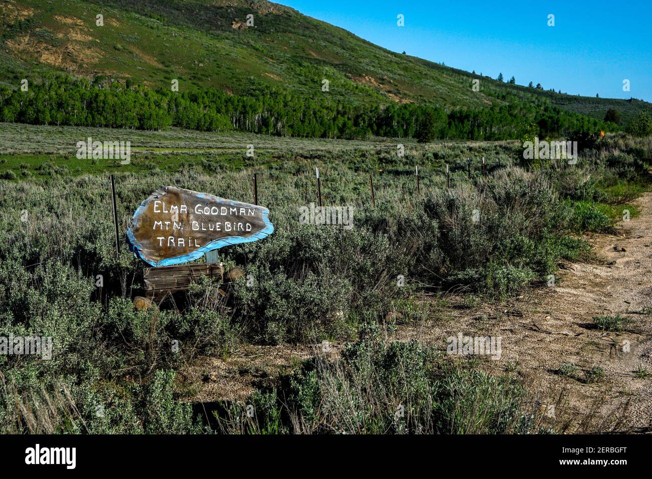 Elma Goodman Mountain Bluebird Trail entlang der Bennett Mountain Road in Elmore County, USA Stockfoto