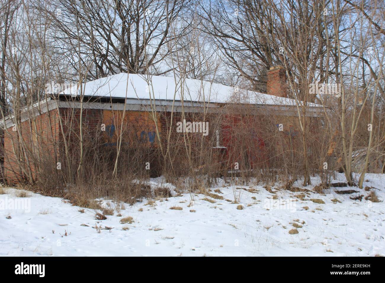 Verlassene Backsteinhaus in Detroit Brightmoor Nachbarschaft im Winter umgeben Durch Baumwachstum Stockfoto