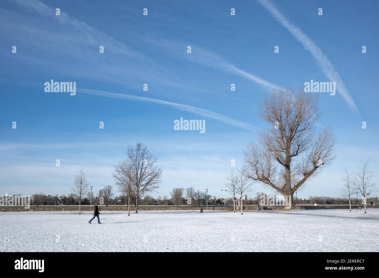 Outdoor sonnige Landschaft Blick auf Rheinpark Golzheim, große lange Park bedeckt von Schnee am Ufer des Rheins in Düsseldorf, Deutschland. Stockfoto