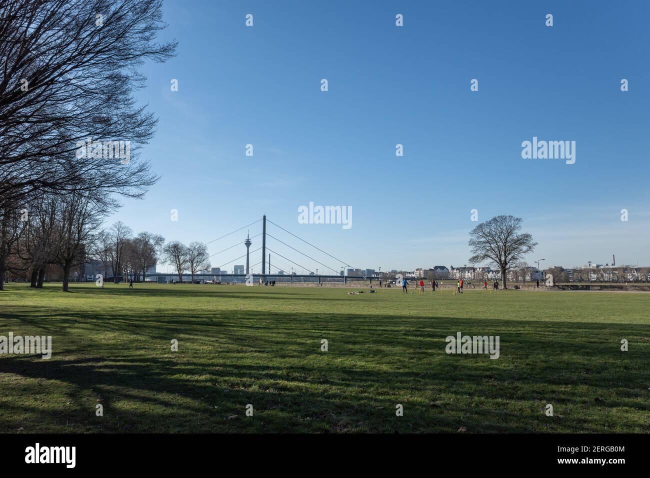 Outdoor sonniger Landschaftsblick am Rheinpark Golzheim, großer langer Park am Rheinufer in Düsseldorf, Deutschland. Stockfoto