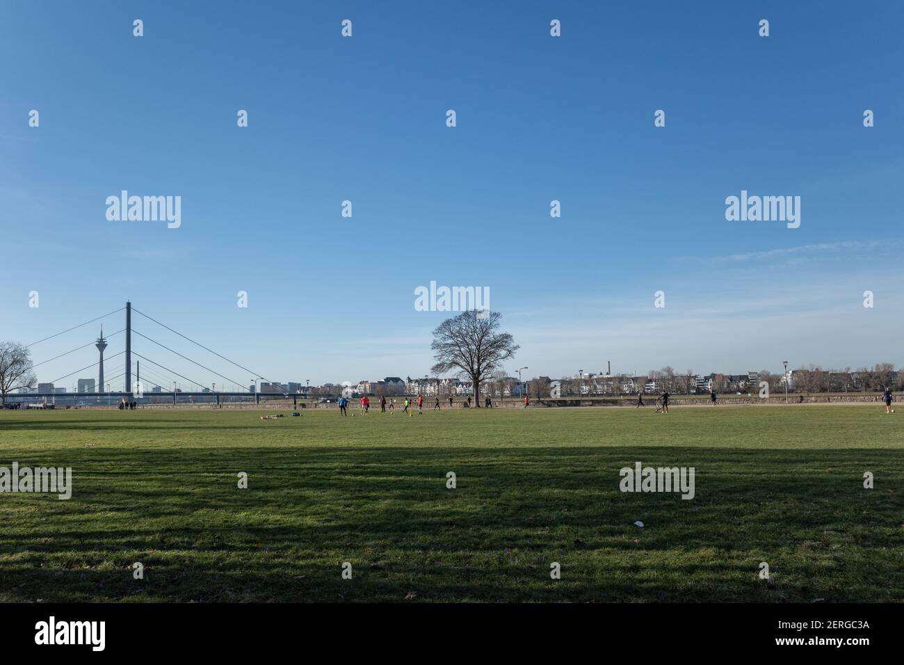 Outdoor sonniger Landschaftsblick am Rheinpark Golzheim, großer langer Park am Rheinufer in Düsseldorf, Deutschland. Stockfoto