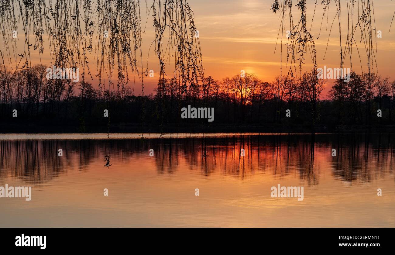 Sonnenuntergang mit Teich, Ästen, Wald im Hintergrund und buntem Himmel - CHKO Poodri in der Nähe des Dorfes Jistebnik in Tschechien Stockfoto