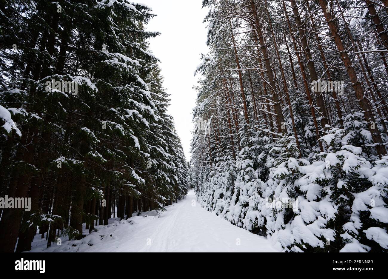 Landschaftlich schöner Blick auf eine Winterlandschaft Stockfoto