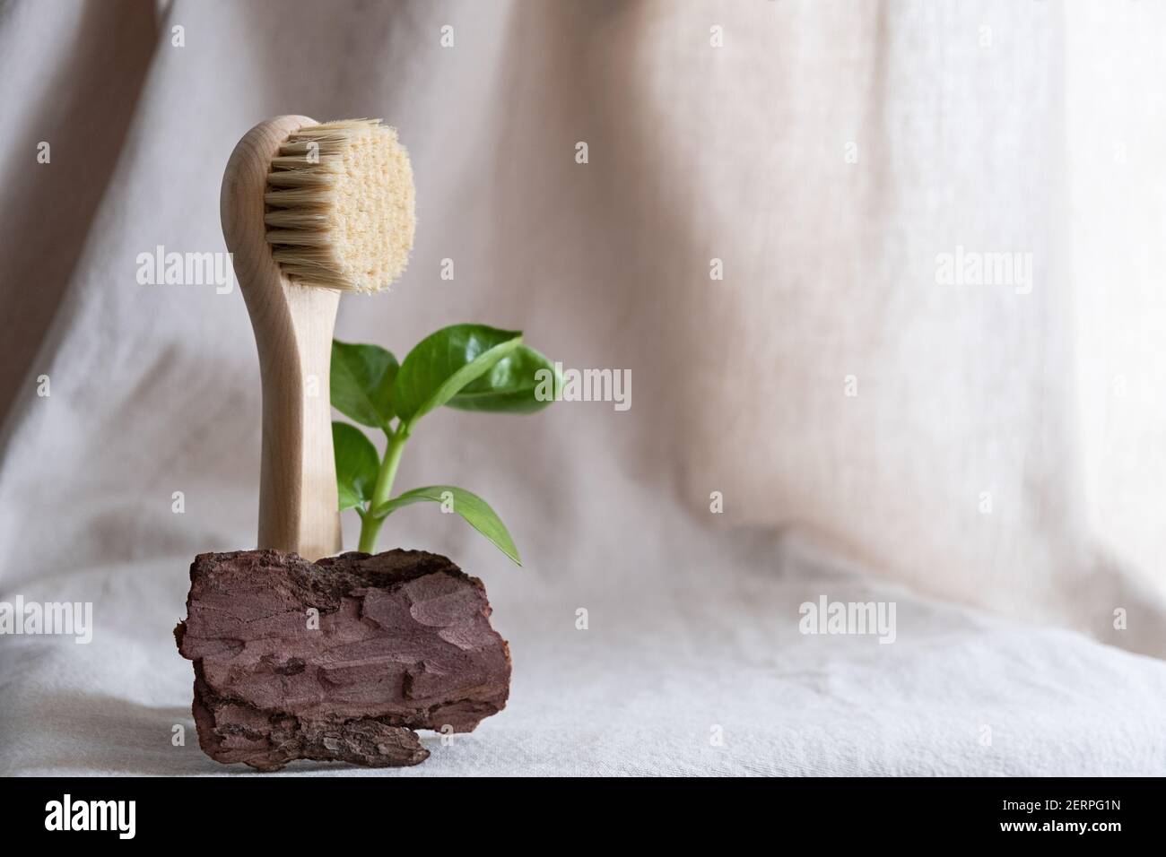 Gesichtsmassage Pinsel mit natürlichen Borsten auf einem Leinenhintergrund mit Rinde und getrockneten Blumen. Umweltfreundliche Kosmetik-Konzept.. Stockfoto