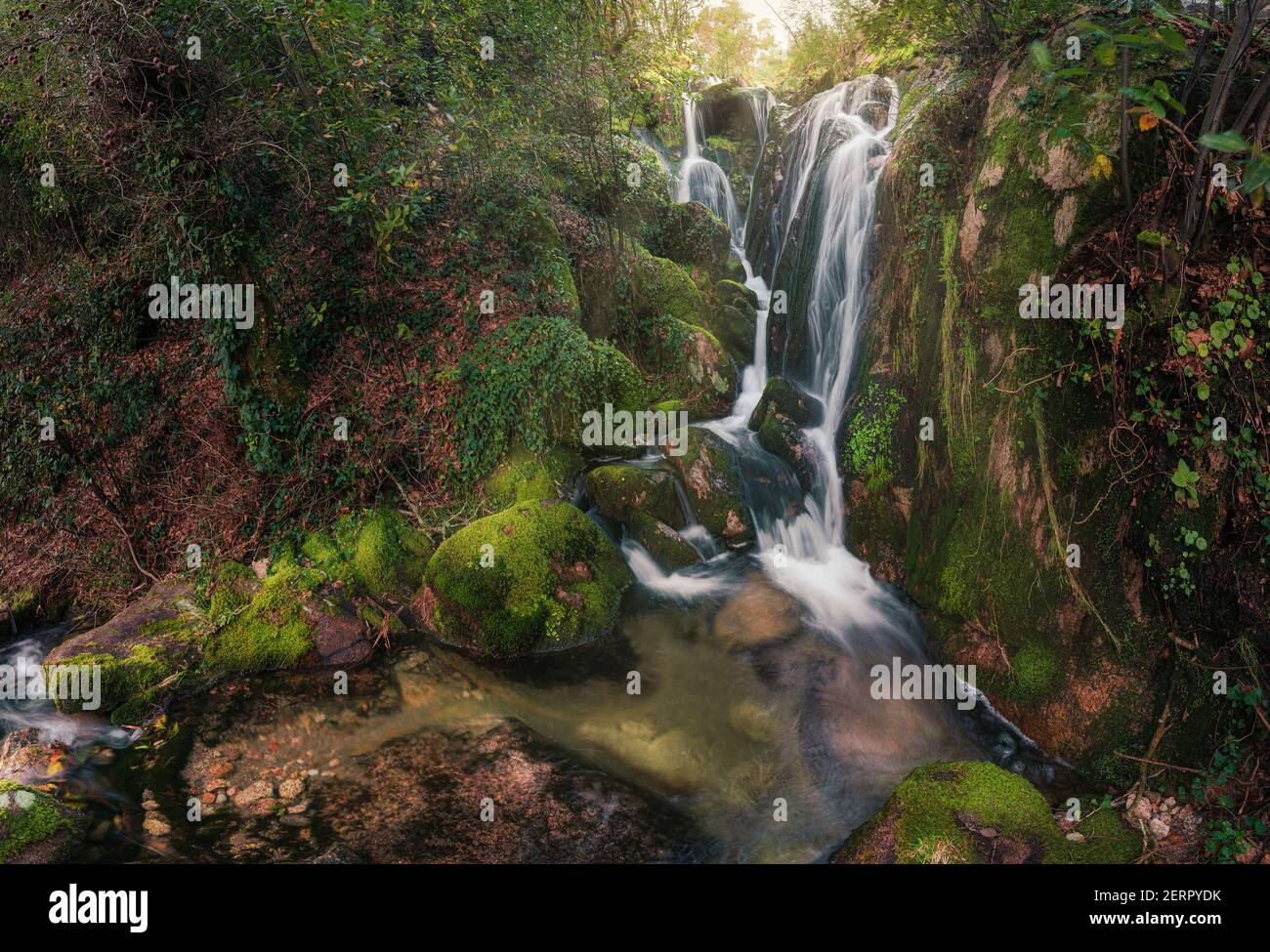 Schöne Aussicht im Naturpark Monte Aloia, in TUI, Galicien, Spanien Stockfoto