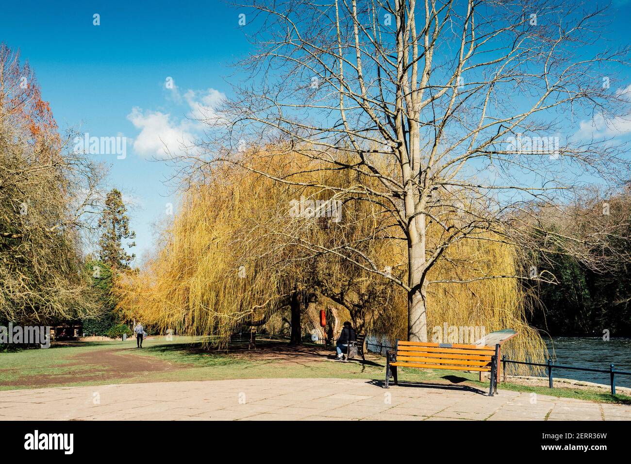 Maidenhead, Berkshire, Großbritannien, Freitag, 26/02/2021, Allgemeine Ansicht, gepflasterte Erholungsgebiet mit Bänken, Ray Mill Island, Themse, Themse Stockfoto