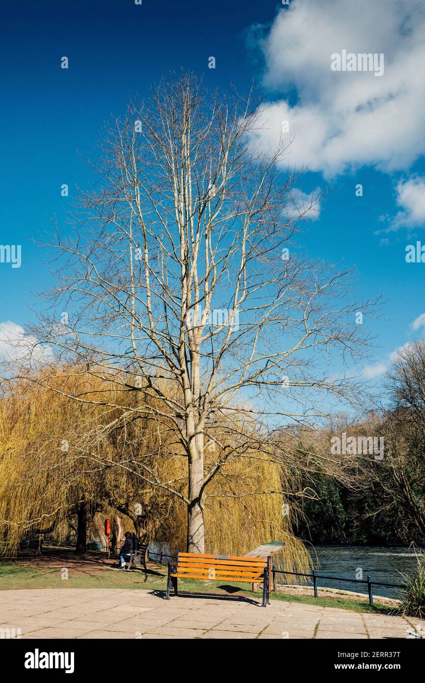 Maidenhead, Berkshire, Großbritannien, Freitag, 26/02/2021, Allgemeine Ansicht, gepflasterte Erholungsgebiet mit Bänken, Ray Mill Island, Themse, Themse Stockfoto