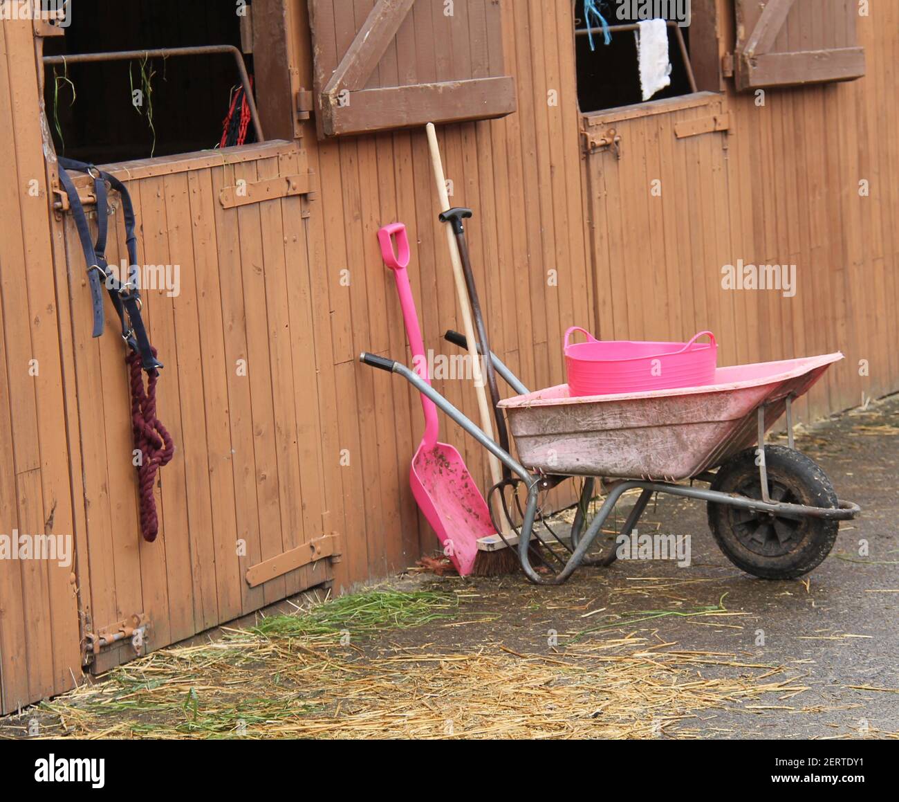 Werkzeuge und Schubkarre zum Ausmucken Pferdeställe. Stockfoto