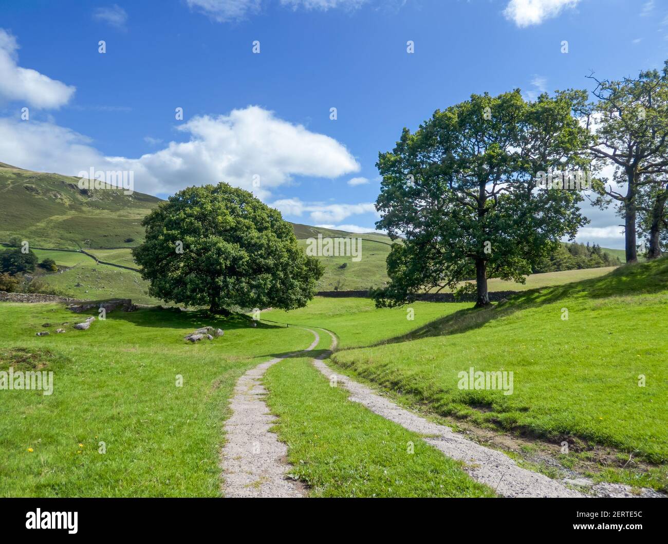Eine ländliche Szene, die auf einem Track in der Nähe von Staveley, Cumbria, blickt Stockfoto