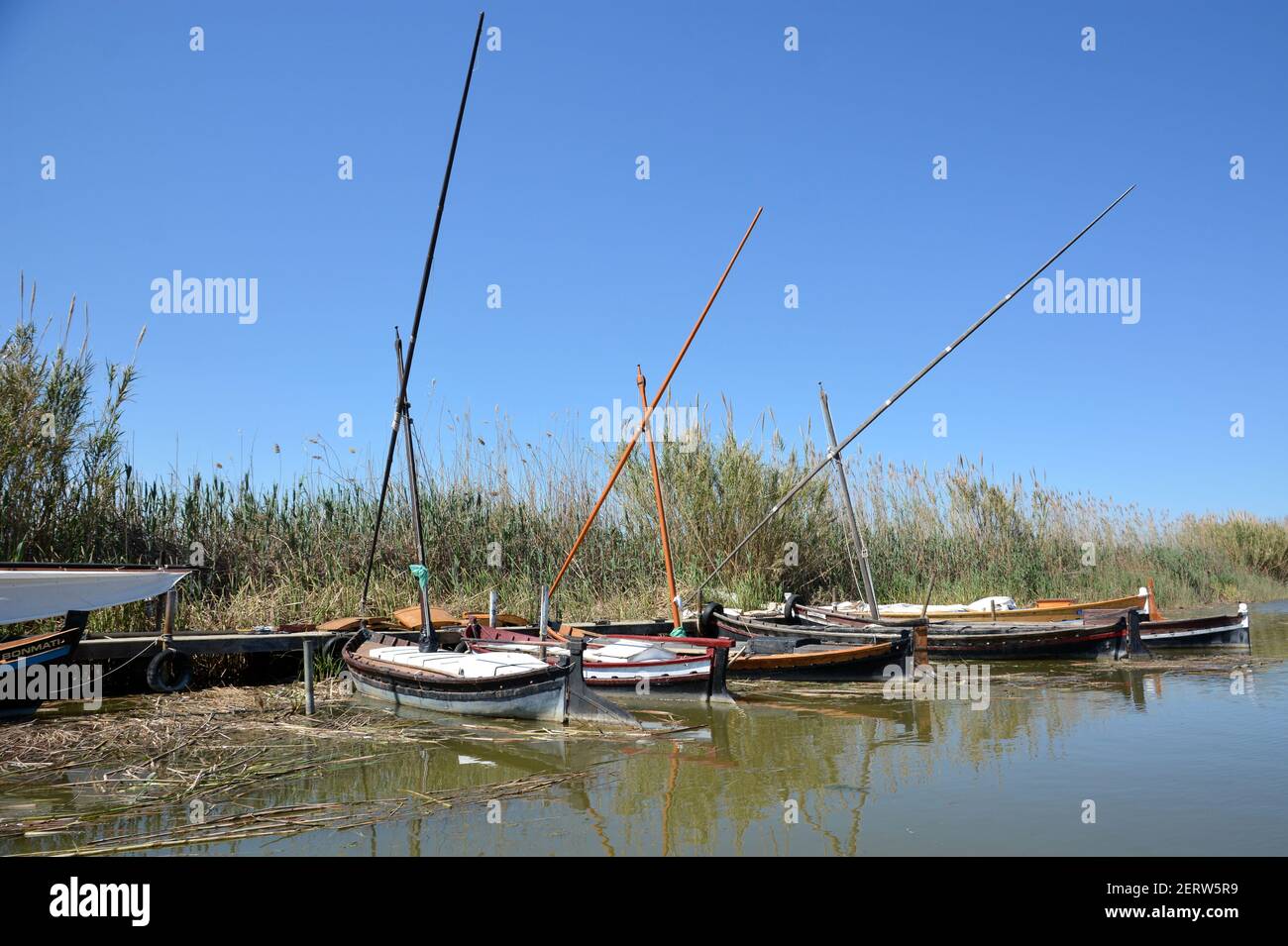 Spanien, südlich von Valencia, der See und die Naturlandschaft von Albufera ist ein mediterranes Ökosystem, das Dünen, Wälder, Reisfelder und Wasservögel kombiniert. Stockfoto