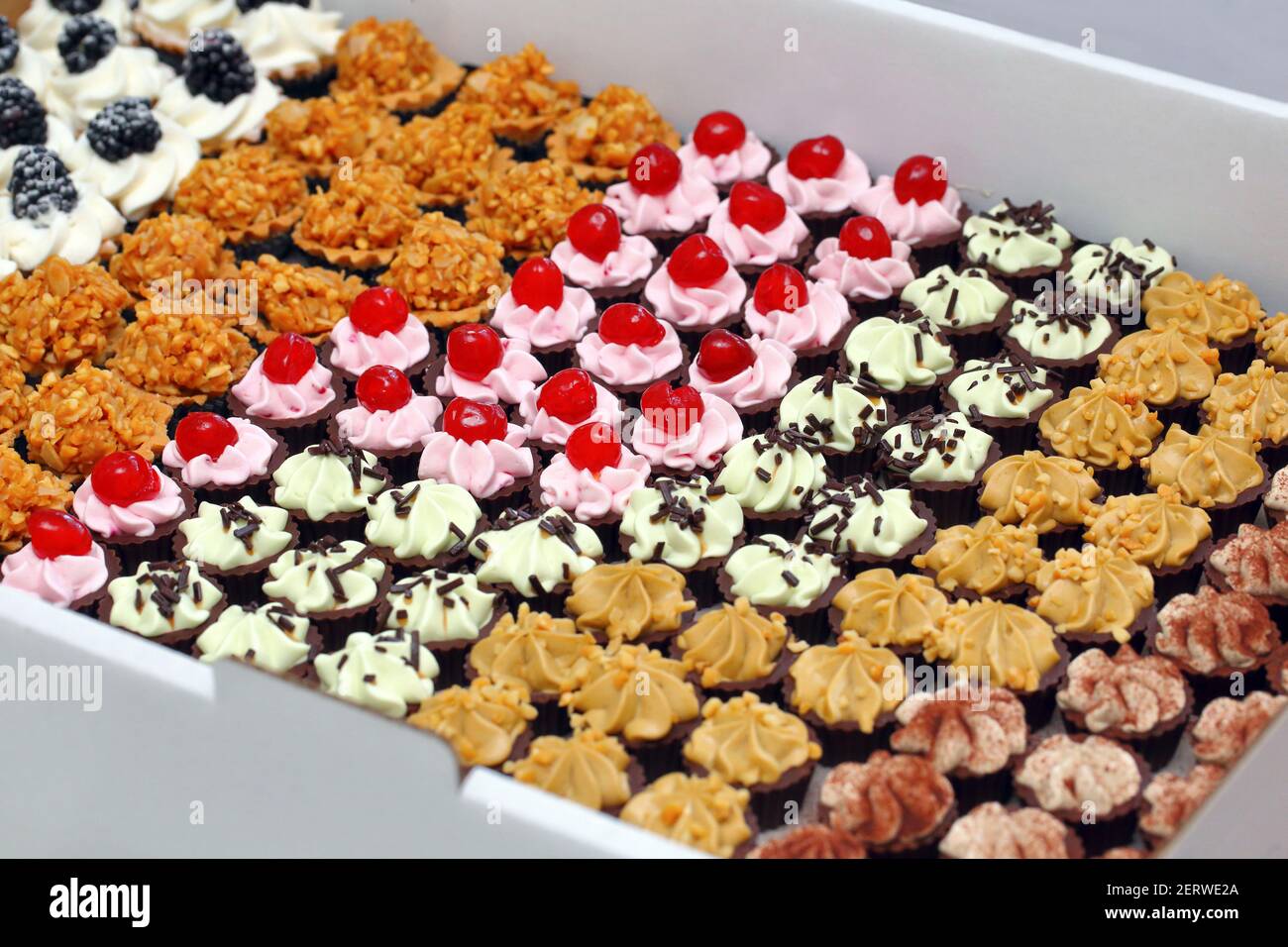 Catering-Set von süßen Cookies in einer Box Stockfoto