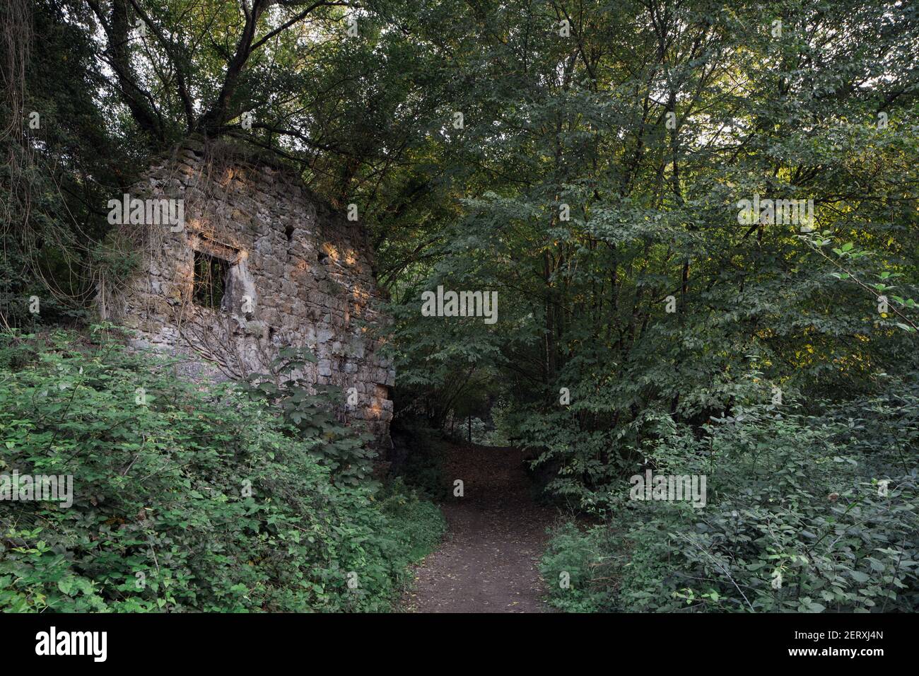 Ruinen der alten etruskischen Zivilisationen sind in der dichten eingetaucht Vegetation Stockfoto