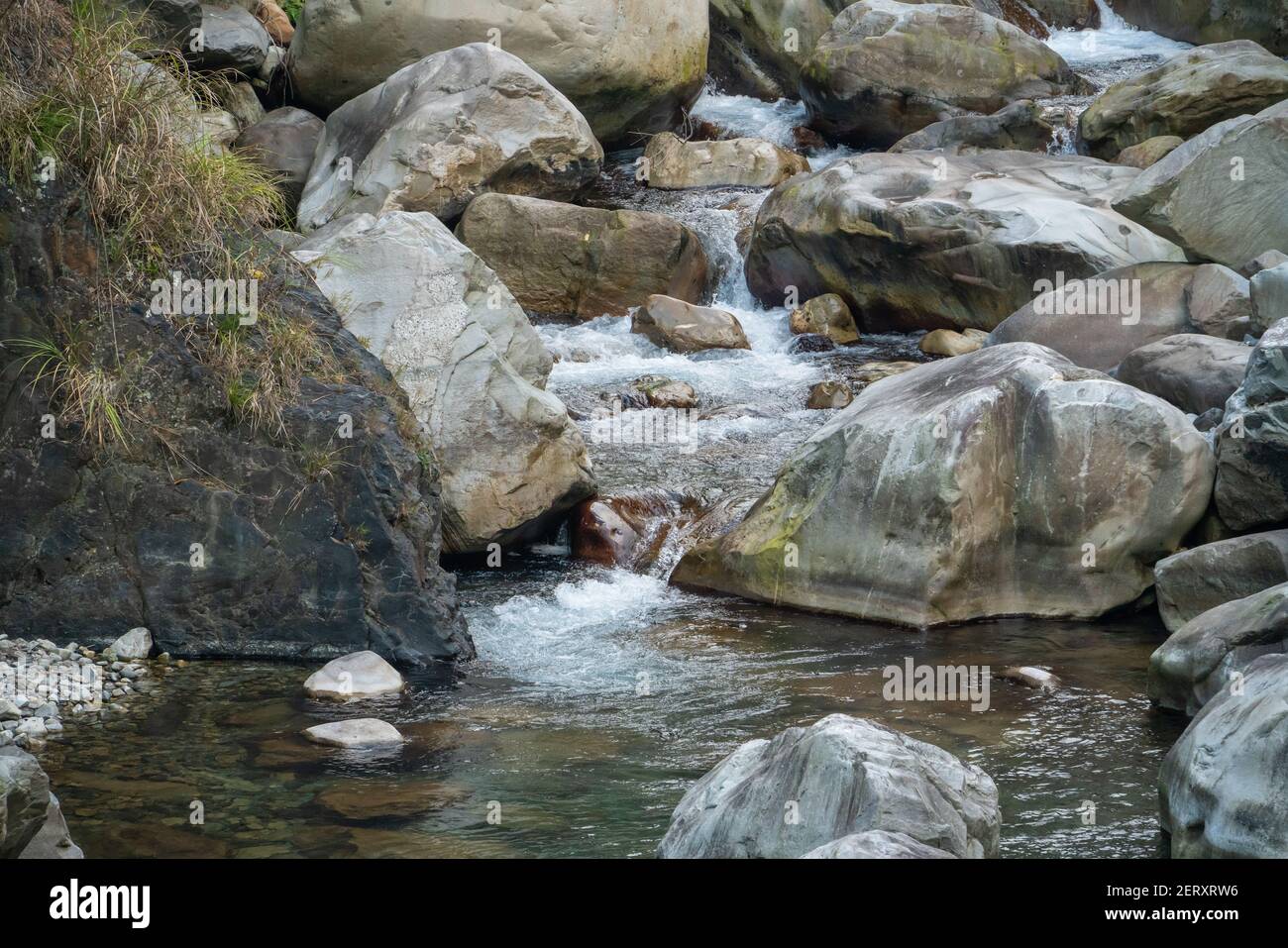 Wildfluss im Wald mit Steinsteinen Landschaft in Taiwan. Stockfoto