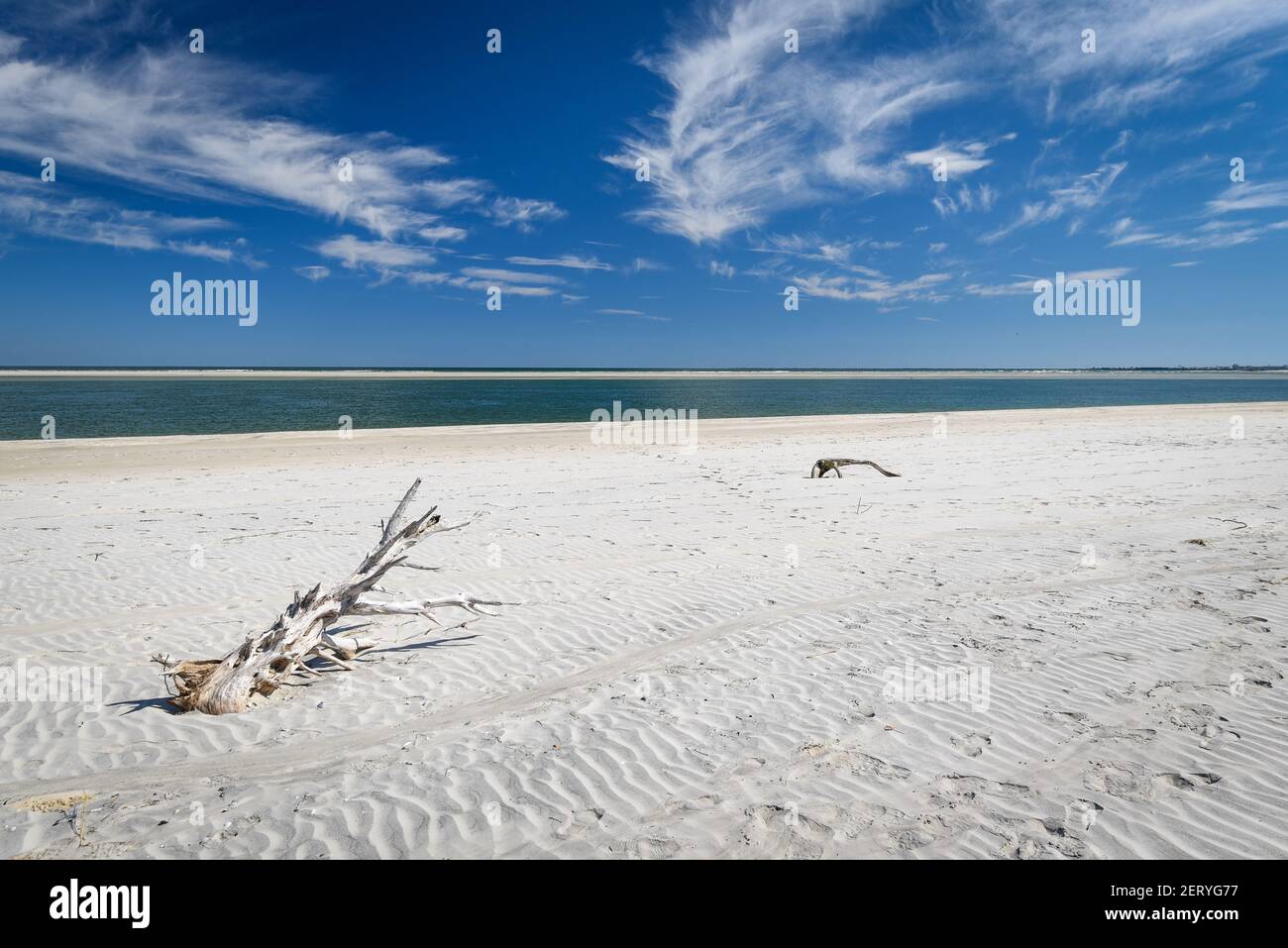 Wunderschöner und natürlicher Floridian Beach Stockfoto