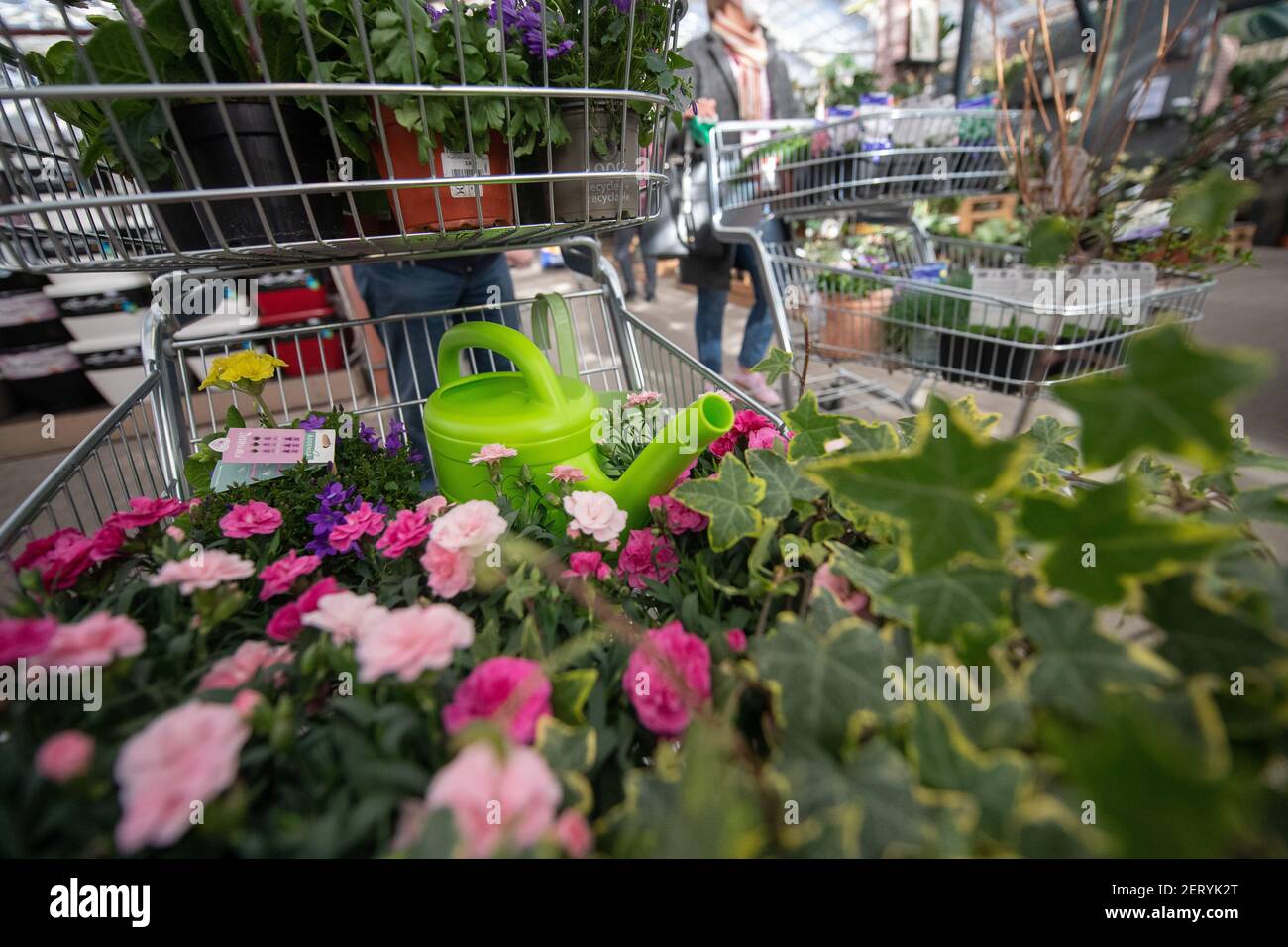 Lauffen Am Neckar, Deutschland. März 2021, 01st. KORRIGIERT HEADLINE - EIN  Einkaufswagen mit Blumen und einer Gießkanne steht im Pflanzen Mauk  Gartencenter. Im Rahmen der ersten Corona-Loosenings dürfen Hobbygärtner in  mehreren Bundesländern