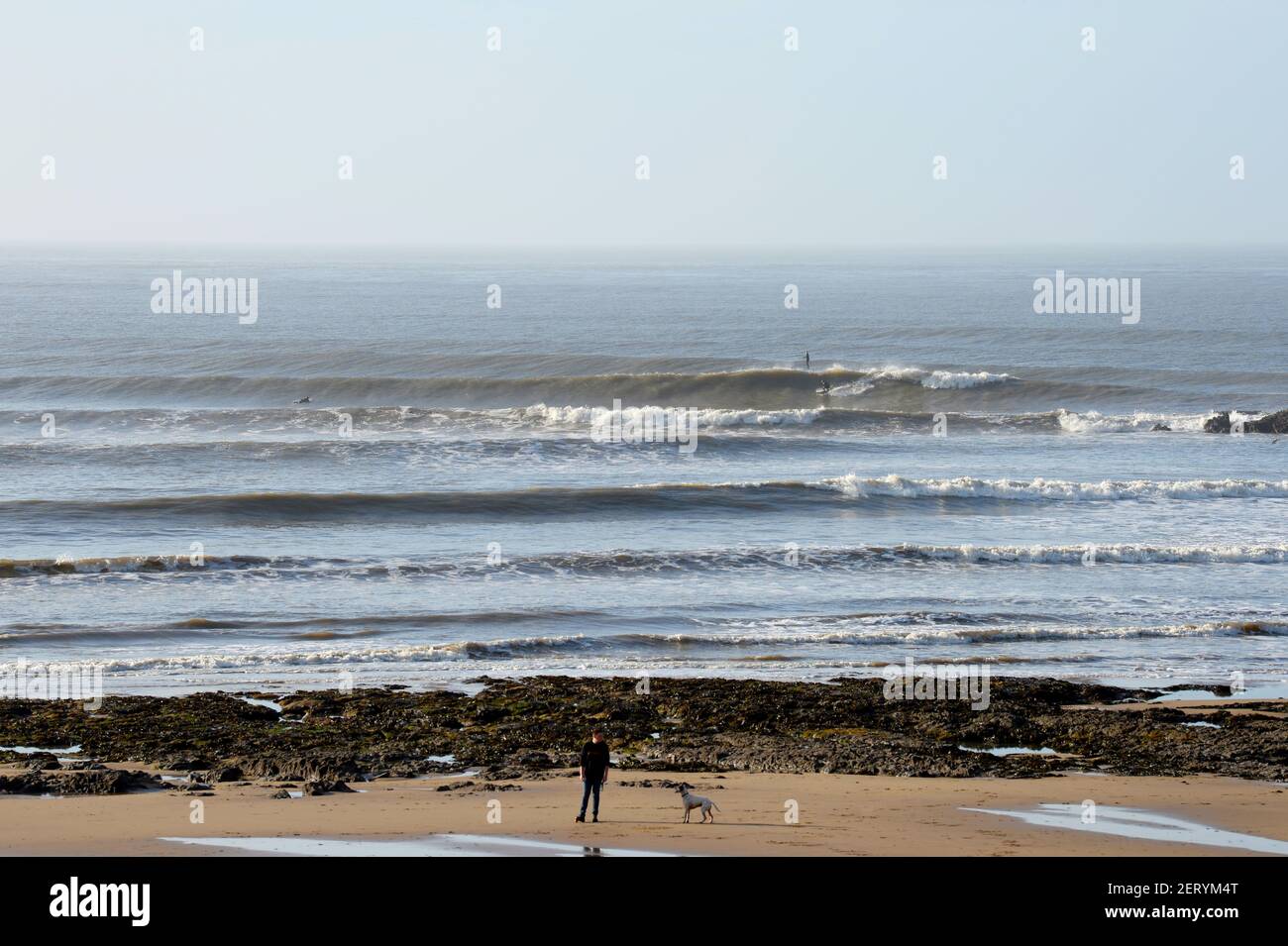 Langland Bay Winter surfen mit Hund Wanderer am Strand und Surfer starten auf lange Welle in der Ferne Stockfoto