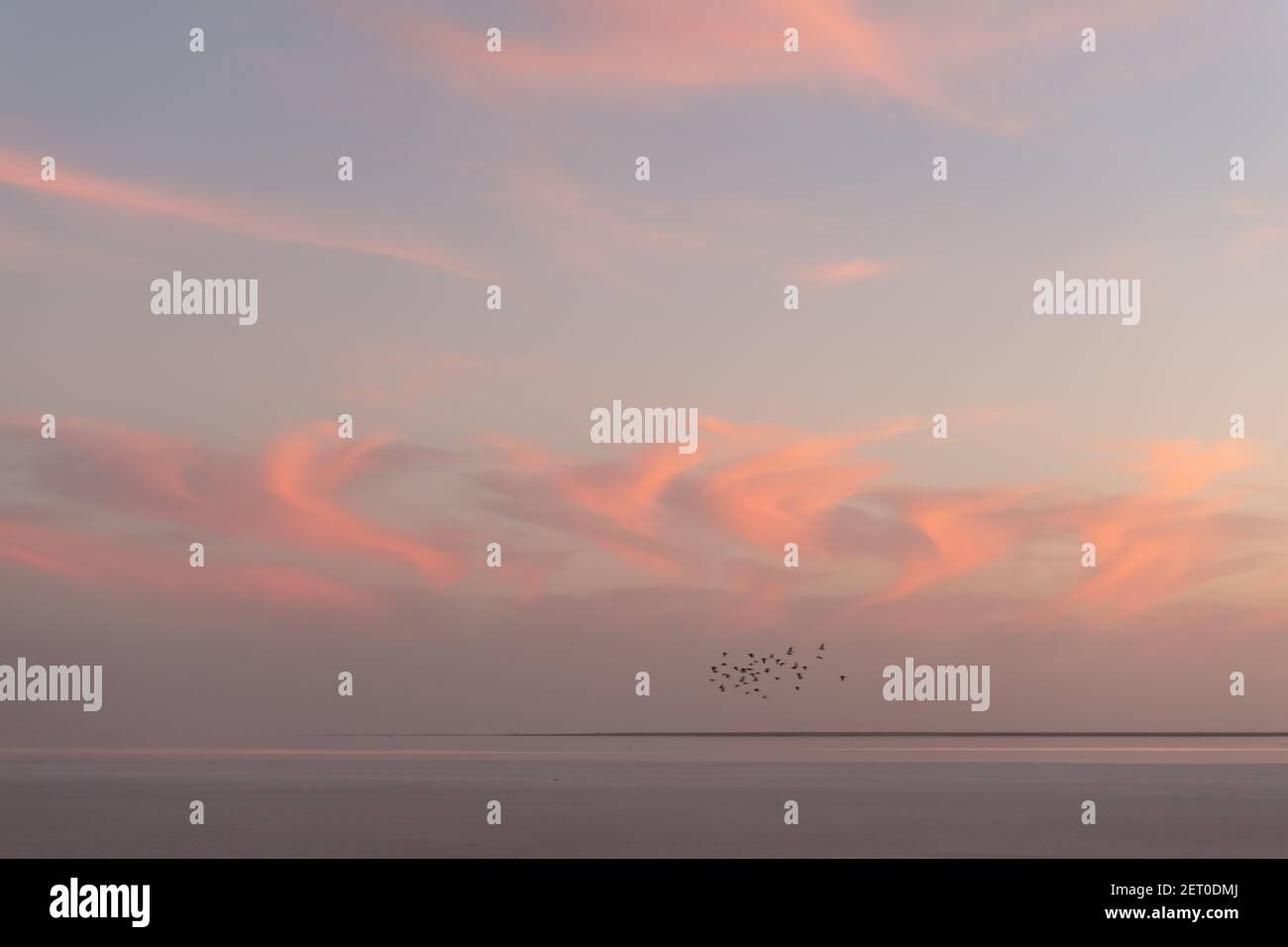 Sonnenuntergang auf dem Meer mit rot glühenden wolkigen Himmel und Schar von Vögeln. Ozean Sonnenaufgang Hintergrund. Landschaftsfotografie Stockfoto