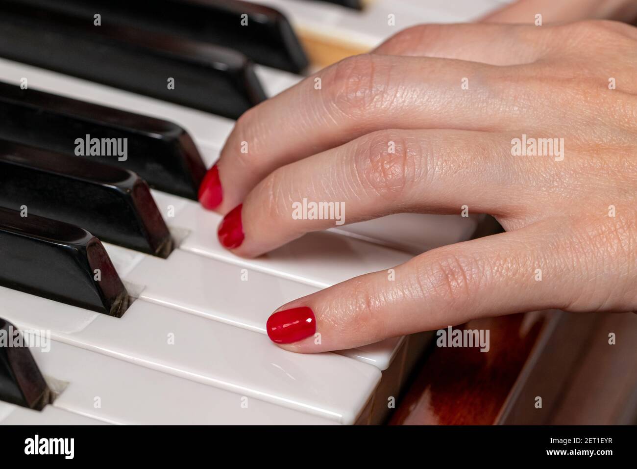 Weibliche Hände eines Klavierspielers. Nahaufnahme Stockfoto