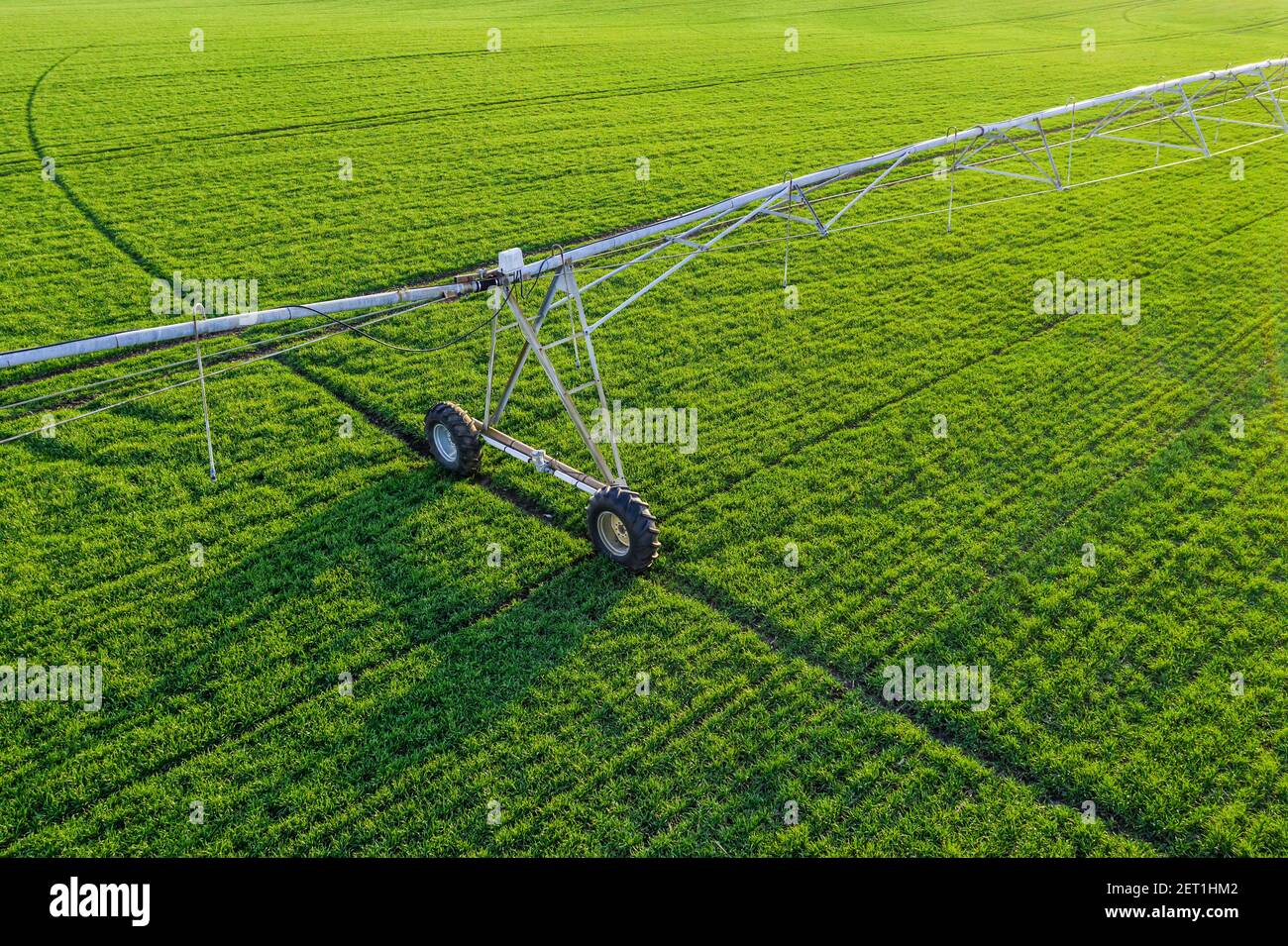 Luftansicht des Zentrumspott-Bewässerungsprinklers in jungen Grünweizenfeldern, Drohnenfotografie Stockfoto